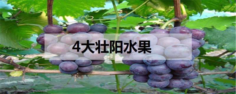 4大壯陽水果