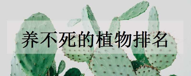 养不死的植物排名（室内养不死的植物排名）