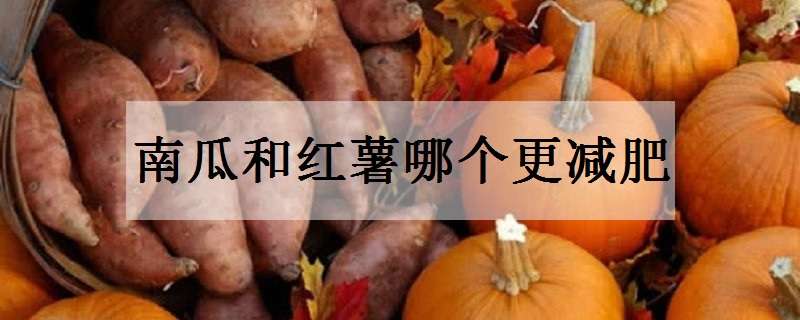 南瓜和红薯哪个更减肥（减肥食谱一周瘦10斤科学减肥）