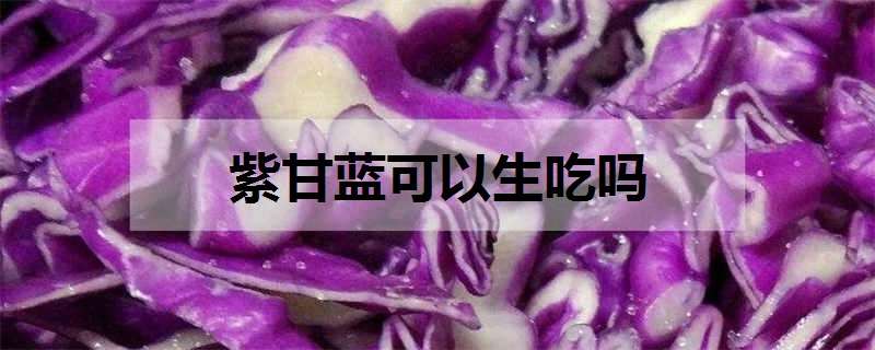 紫甘蓝可以生吃吗（西兰花可以生吃吗）