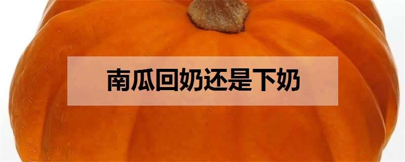 南瓜回奶還是下奶