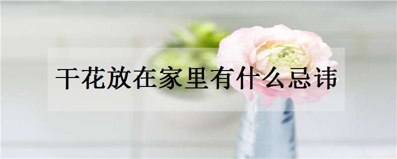 干花放在家里有什么忌讳 干花放在家里有什么忌讳 假花放室内弊端多