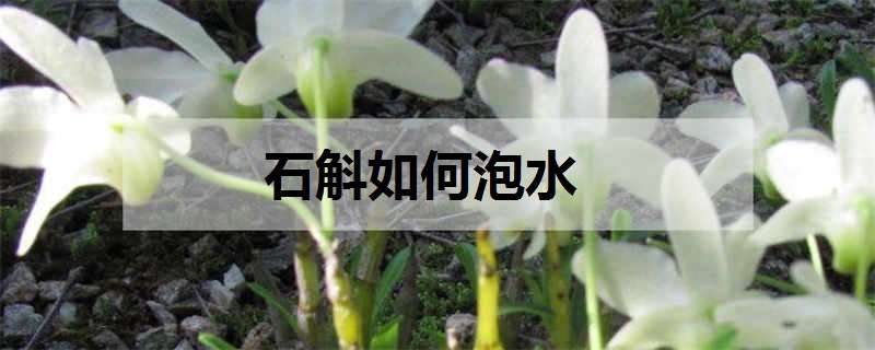 石斛如何泡水（石斛如何泡水喝）