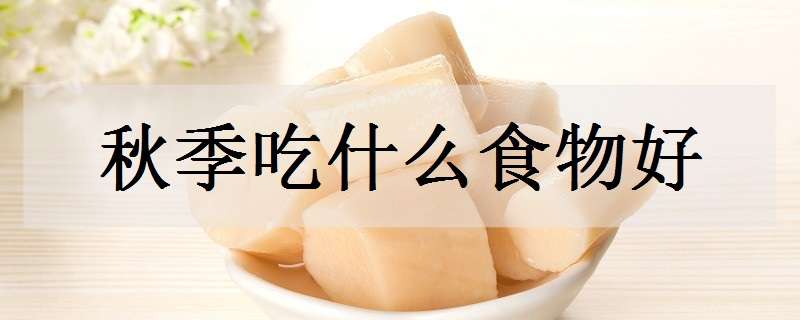 秋季吃什么食物好（秋季吃什么食物好?）