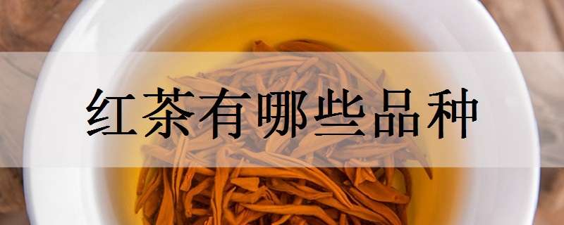 红茶有哪些品种