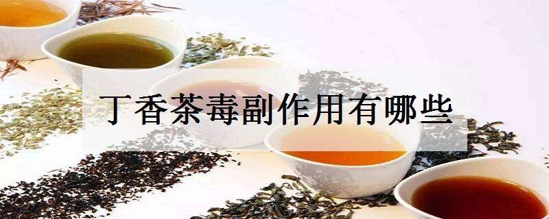 丁香茶毒副作用有哪些（丁香茶毒性）