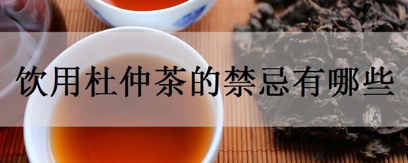 饮用杜仲茶的禁忌有哪些 饮用杜仲茶的禁忌有哪些呢