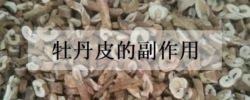 牡丹皮的副作用有哪些（牡丹皮有什么作用）