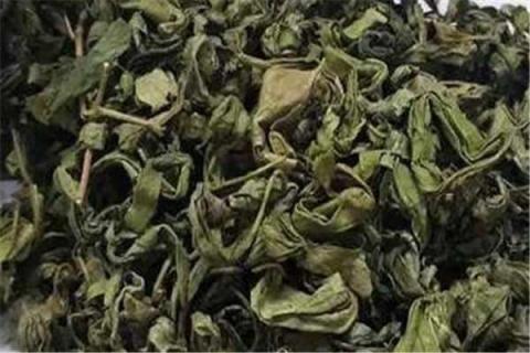 丁香茶的禁忌 丁香茶的禁忌人群