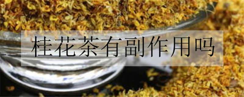 桂花茶有副作用吗 喝桂花茶的坏处