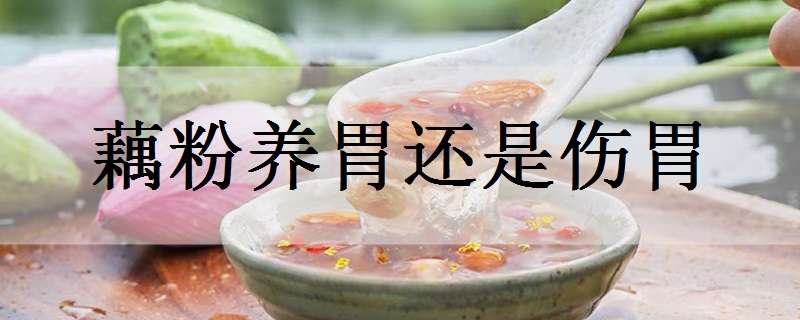 藕粉養(yǎng)胃還是傷胃