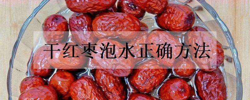 干红枣泡水正确方法