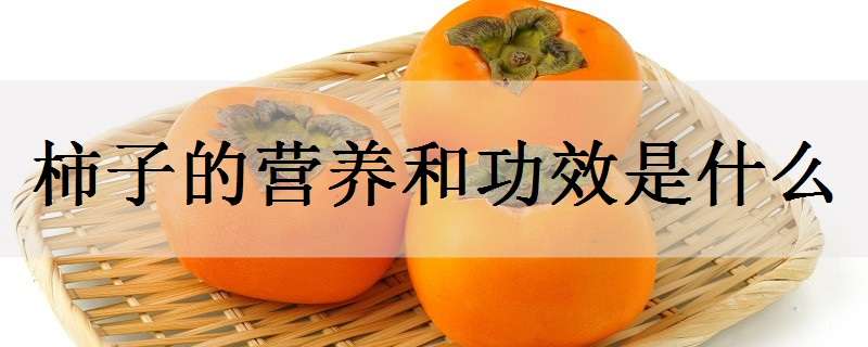 柿子的营养和功效是什么（柿子的营养和作用）