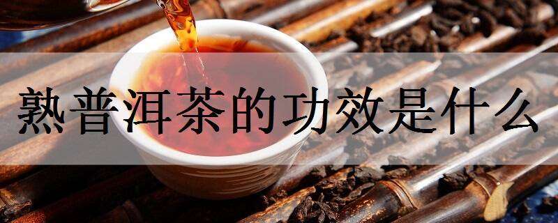 熟普洱茶的功效是什么 白茶是什么茶類