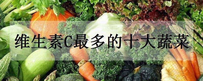 維生素C最多的十大蔬菜