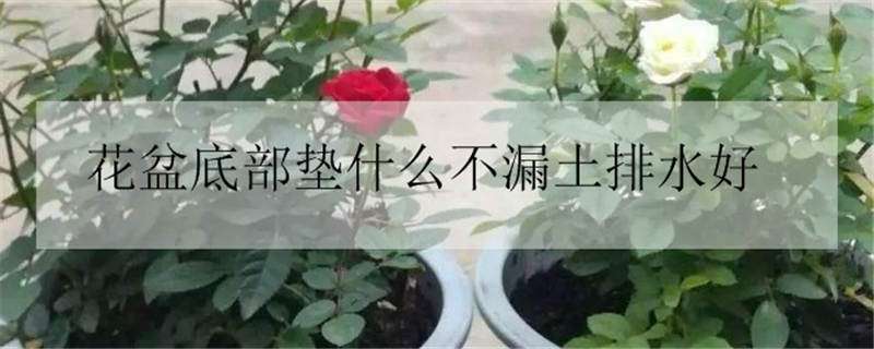 花盆底部垫什么不漏土排水好