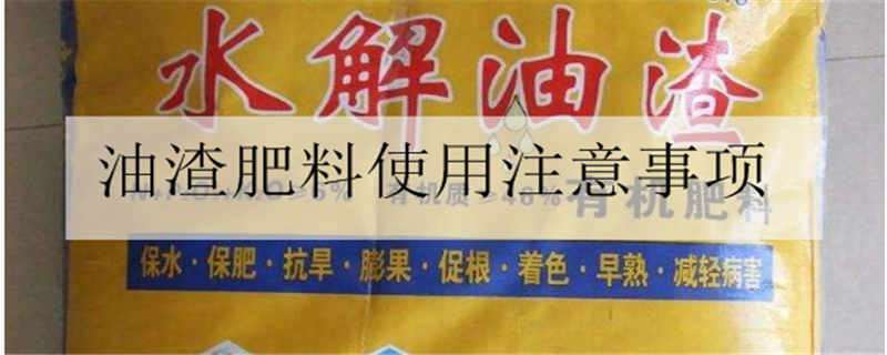 油渣肥料使用注意事项 油渣当肥料应注意什么