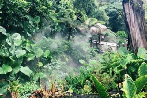 廈門植物園門票多少錢 哪些人可以免費入園