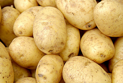 土豆早栽技术技巧 土豆怎么施肥