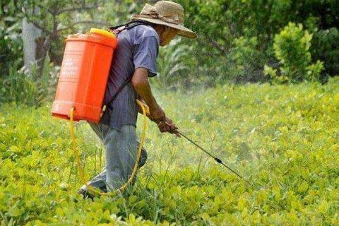 2甲滅草松使用注意事項