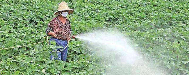 氟啶胺不能與哪些殺菌劑混用