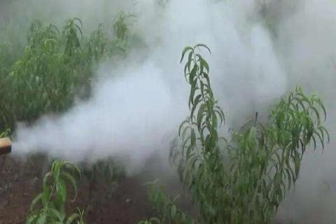 10ml氯吡脲兌多少水噴施