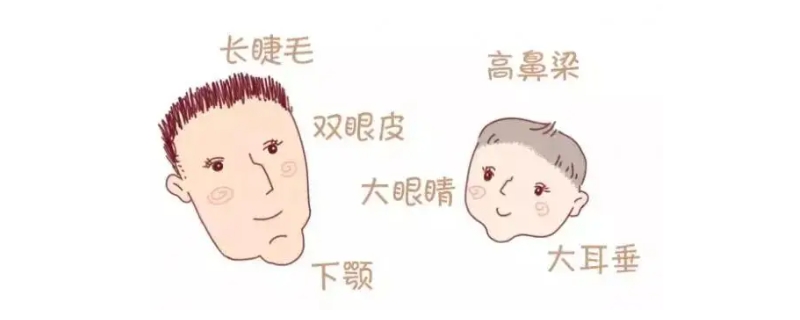 描写人物外貌的段落