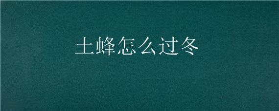 土蜂怎么过冬（土蜂过冬注意事项）