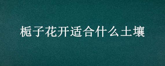 栀子花开适合什么土壤 栀子花喜欢什么土壤