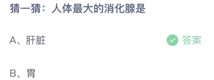 螞蟻莊園11.2最新答案：人體最大的消化腺是肝臟還是胃？