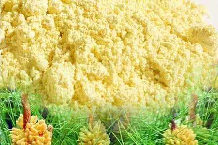 松花粉的功效与作用及食用方法 松花粉的功效与作用及食用方法用量