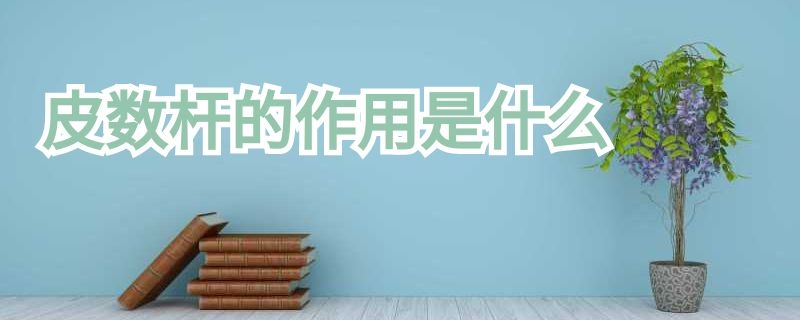 皮数杆的作用是什么（皮数杆的作用是什么?怎样安放皮数杆?）