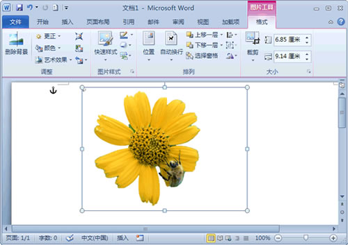 word2010怎么去除圖片背景