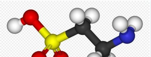 牛磺酸是什么 牛磺酸是什么东西