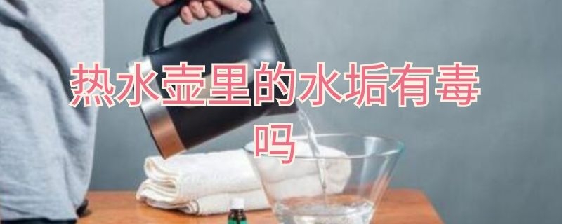 热水壶里的水垢有毒吗（热水壶里的水垢有毒吗知乎）