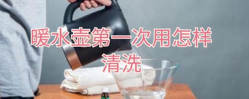 暖水壶第一次用怎样清洗（暖水壶第一次用怎样清洗干净）