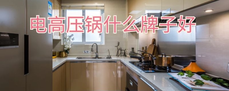 电高压锅什么牌子好 迷你电高压锅什么牌子好