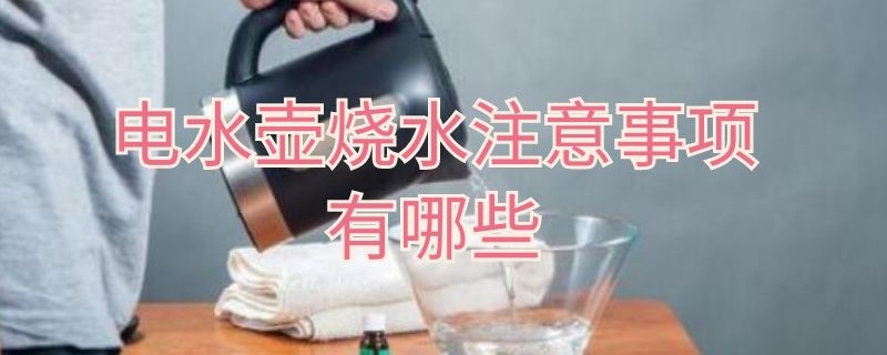 电水壶烧水注意事项有哪些 电水壶烧水注意事项有哪些标准