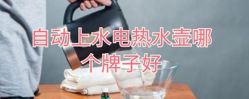 自动上水电热水壶哪个牌子好（自动上水电热水壶哪个品牌好）