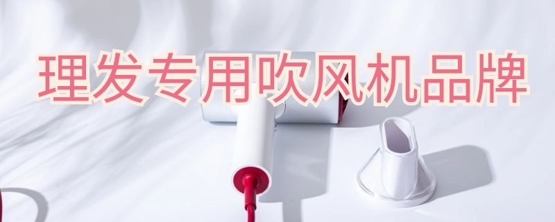 理发专用吹风机品牌（理发专用吹风机品牌排行榜）