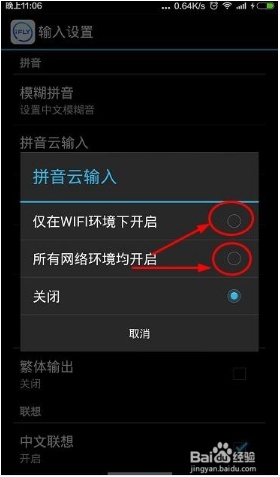 訊飛輸入法怎么開啟拼音云設(shè)置