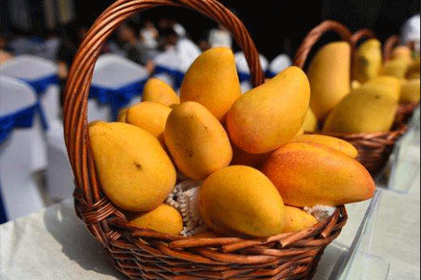 芒果怎样保存可以放得更久 芒果怎样保存可以放得更久呢