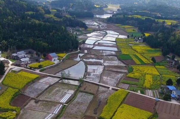 集體土地征收與補(bǔ)償給集體還是個(gè)人（集體土地征用補(bǔ)償費(fèi)該怎么分配?）