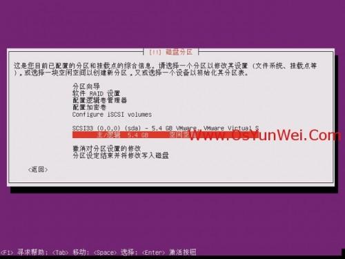 Ubuntu Server 13.10 安装配置图解教程