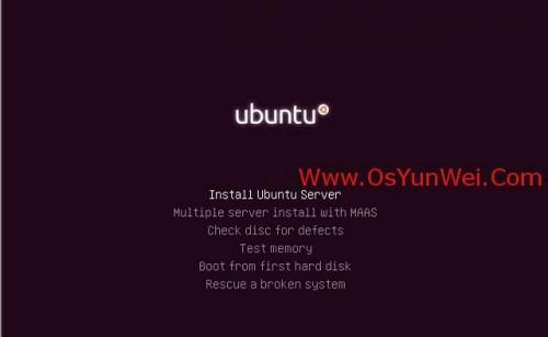 Ubuntu Server 13.10 安装配置图解教程