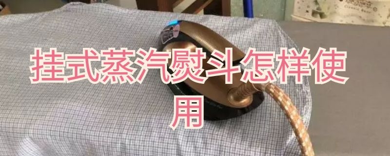 挂式蒸汽熨斗怎样使用