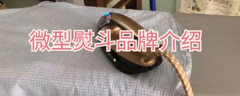 微型熨斗品牌介紹