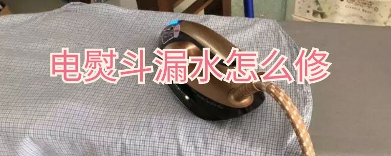 電熨斗漏水怎么修