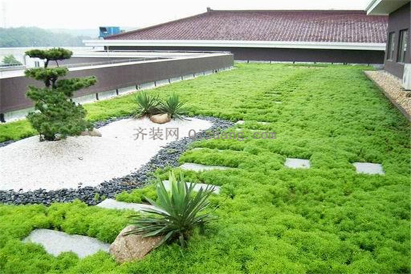 打造屋頂花園，花前月下不再是夢！