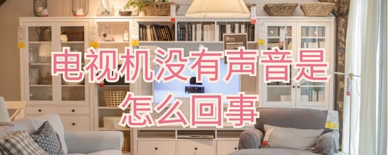 电视机没有声音是怎么回事